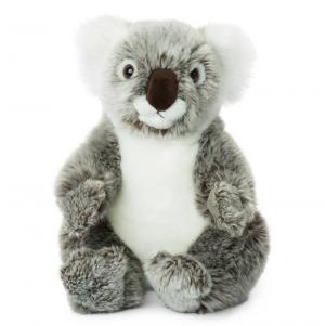 Koala - WWF (Världsnaturfonden)